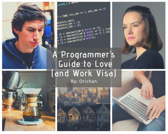 A Programmer's Guide to Love (and Work Visa)